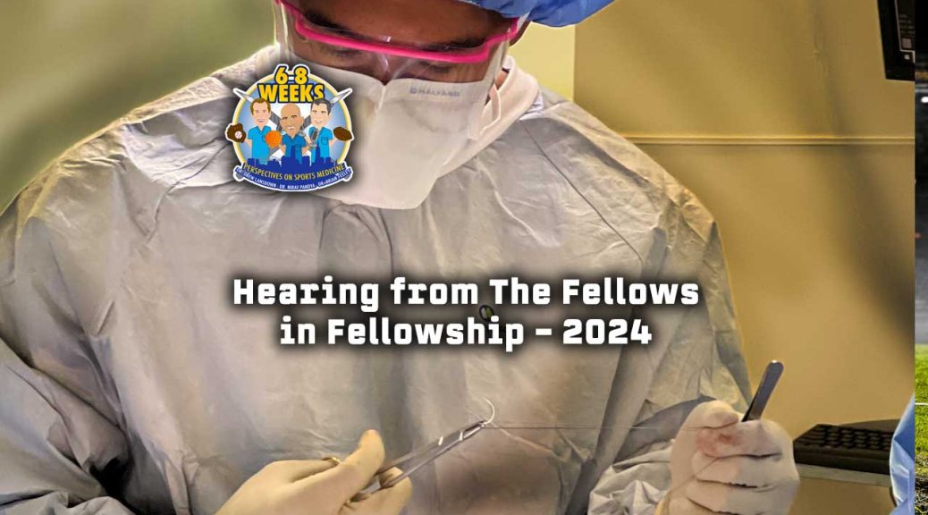 Hearing from The Fellows in Fellowship - 2024: The 6 to 8 Weeks Podcast